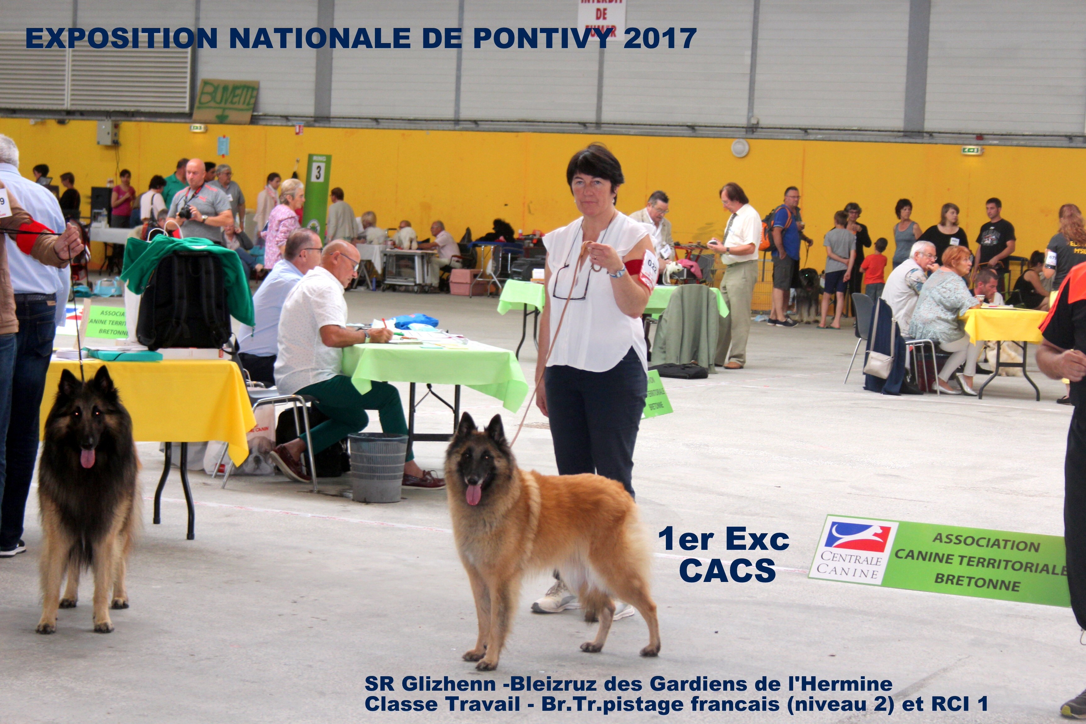 des Gardiens de l'Hermine - Exposition nationale de Pontivy 2017 