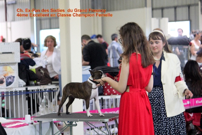 des Gardiens de l'Hermine - Championnat de France Angers 8 juin 2014