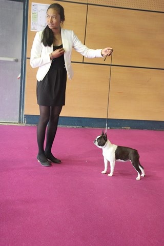 des Gardiens de l'Hermine - Jodie Foster 2ème Excellent à St Brieuc 